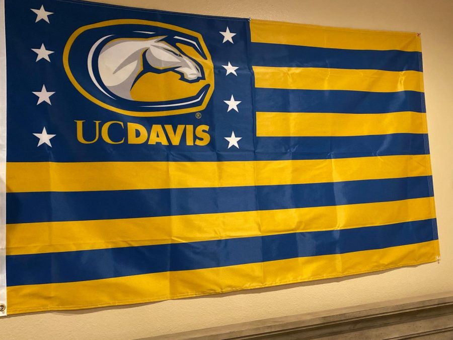 After a long recruitment process, senior Luke Piazza committed to further his athletic and academic career at UC Davis.