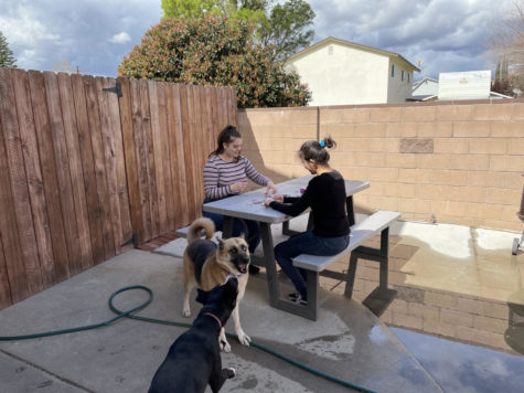 Lauren Rodriguez and Linnea Chandler play in Linneas backyard. They are laughing with the dogs playing and enjoy spending time together.
