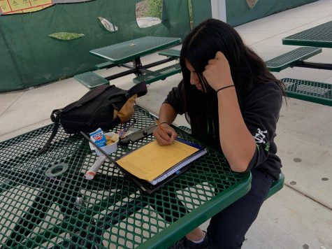 A student working during their free period to stay ahead.