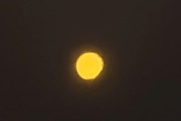 The sun at 10.37 a.m., just barely covered by the Moon.
