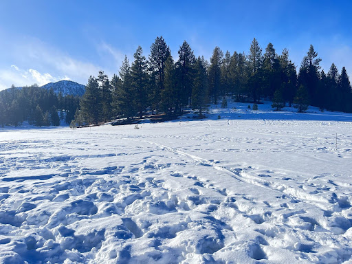 Freshmen Jacob Maldonado's view of the beautiful Mammoth Lake.