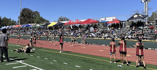 Sprinters running to the finish line.