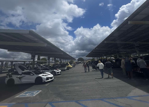 Crowds gather for the ultimate car meet-up.